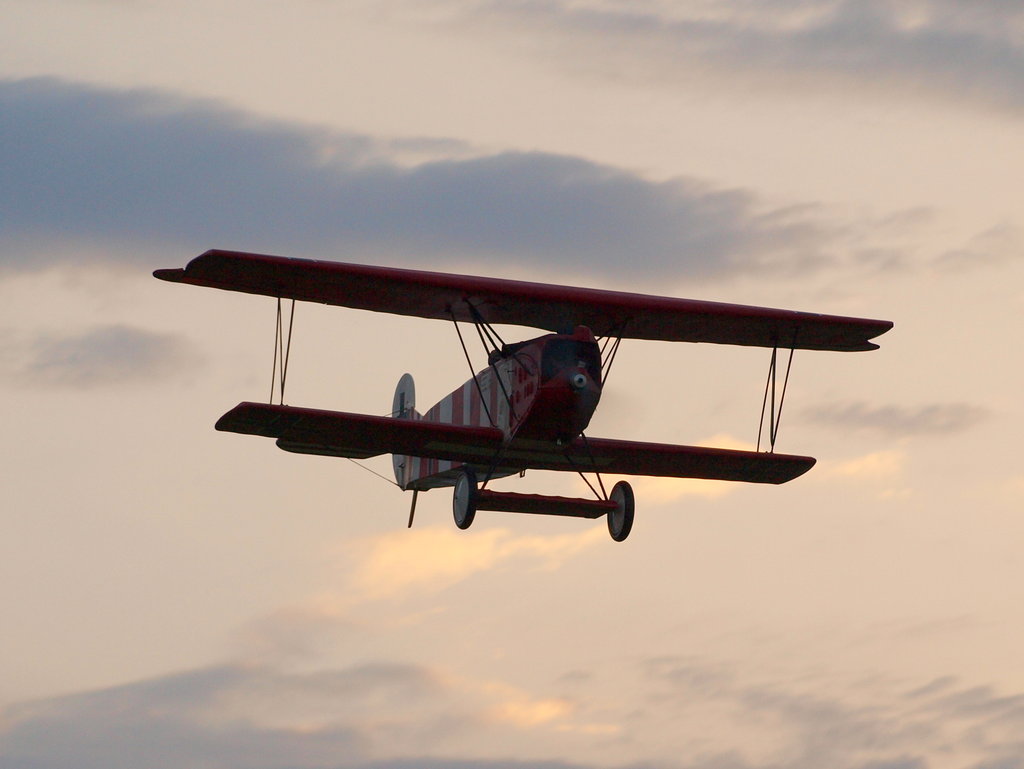 Fokker DVII Gero20127