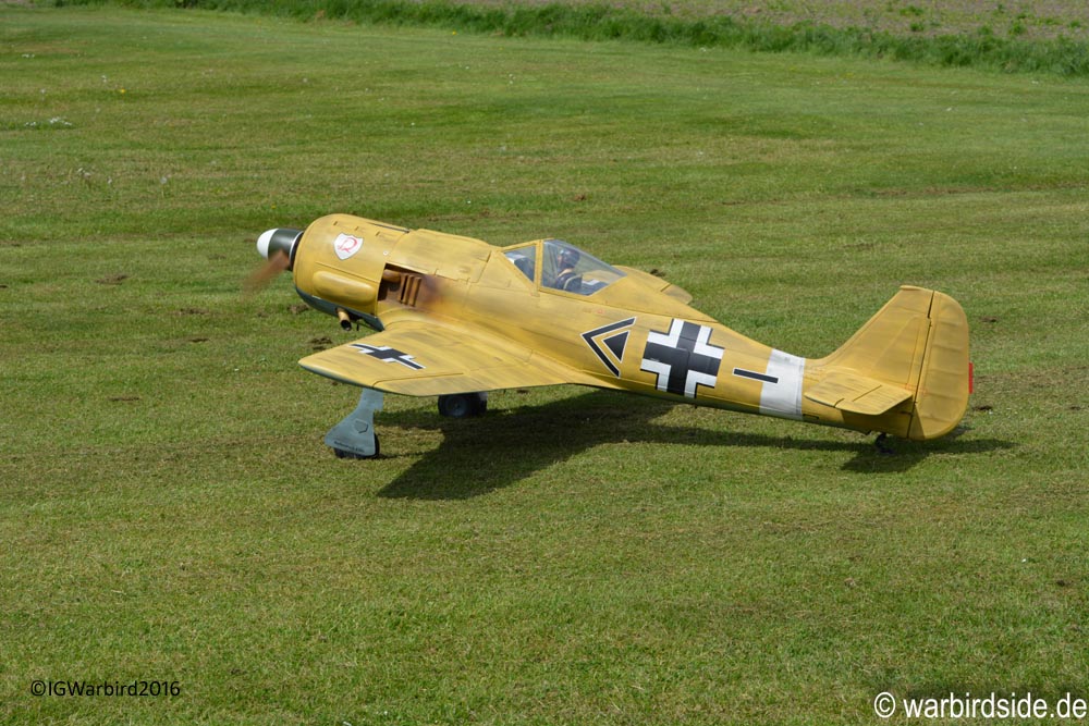 Fw190 StephanRibbers1